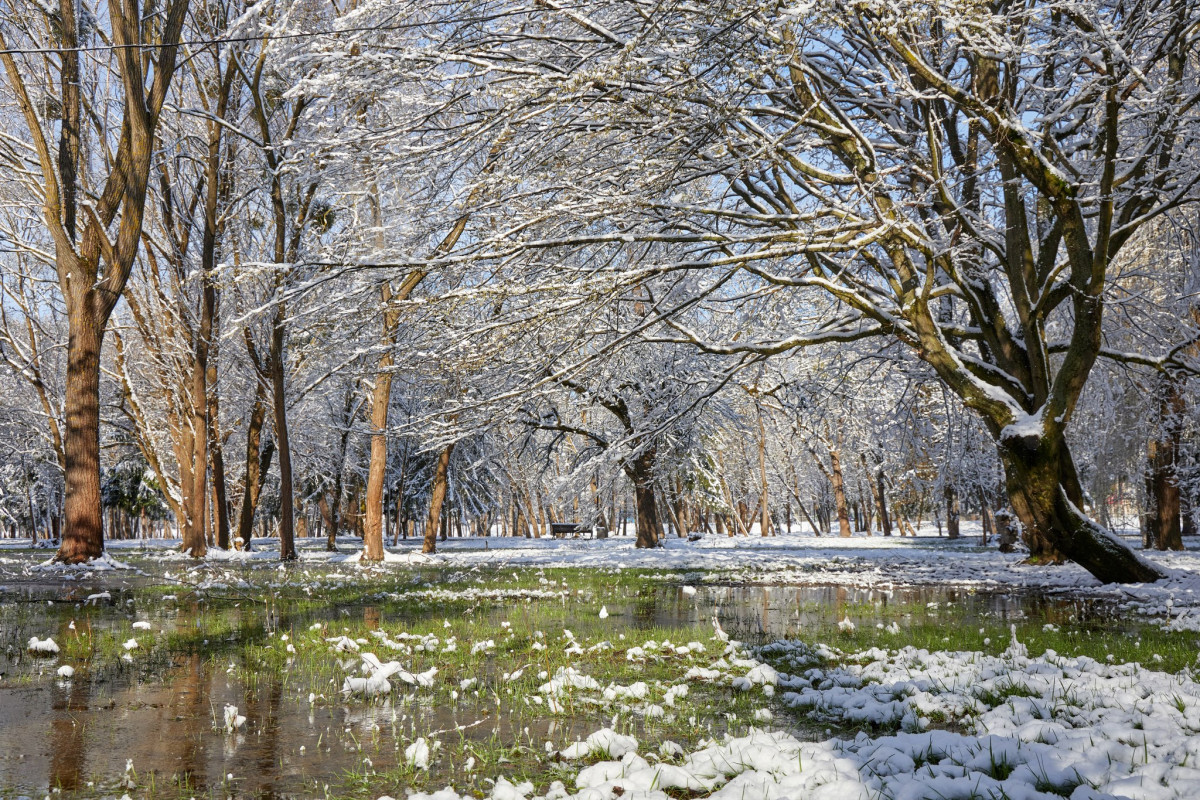 У перші дні квітня Луцьк засипало снігом: неймовірні фото
