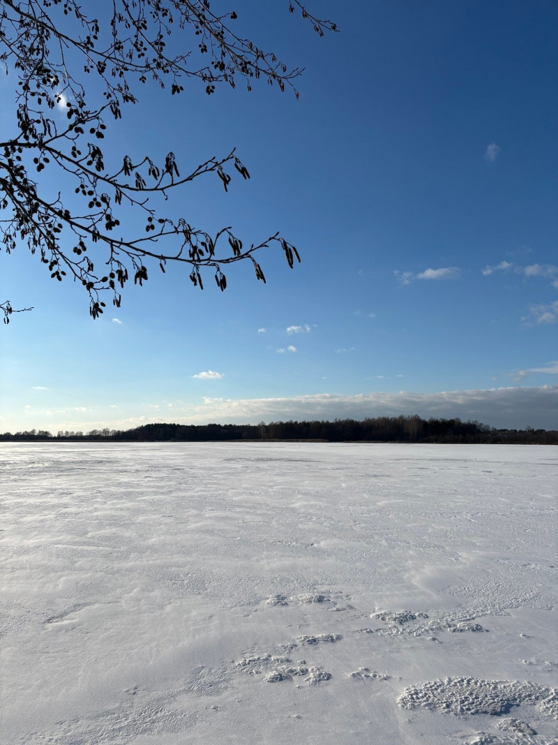 Зимова казка на Шацьких озерах: лід, сніг і тиха велич природи