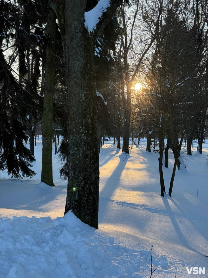 У луцькому парку в мороз –17 °C помітили бігуна без одягу