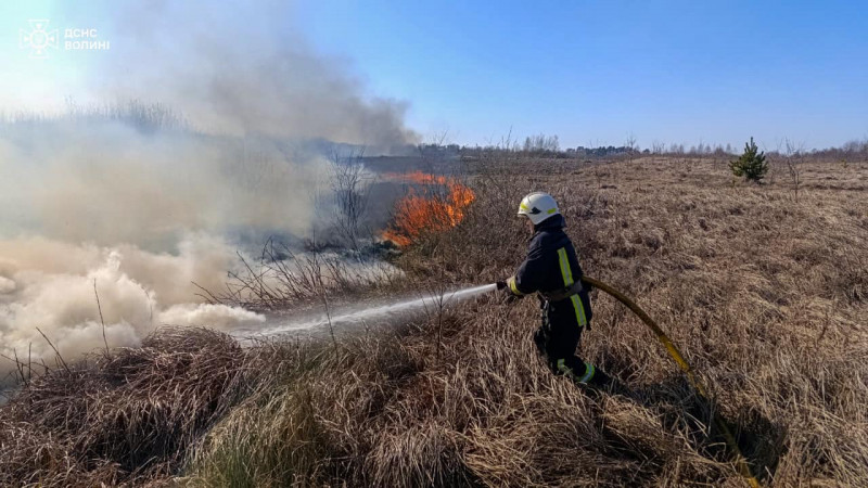 15 пожеж за добу: на Волині масово горіли екосистеми