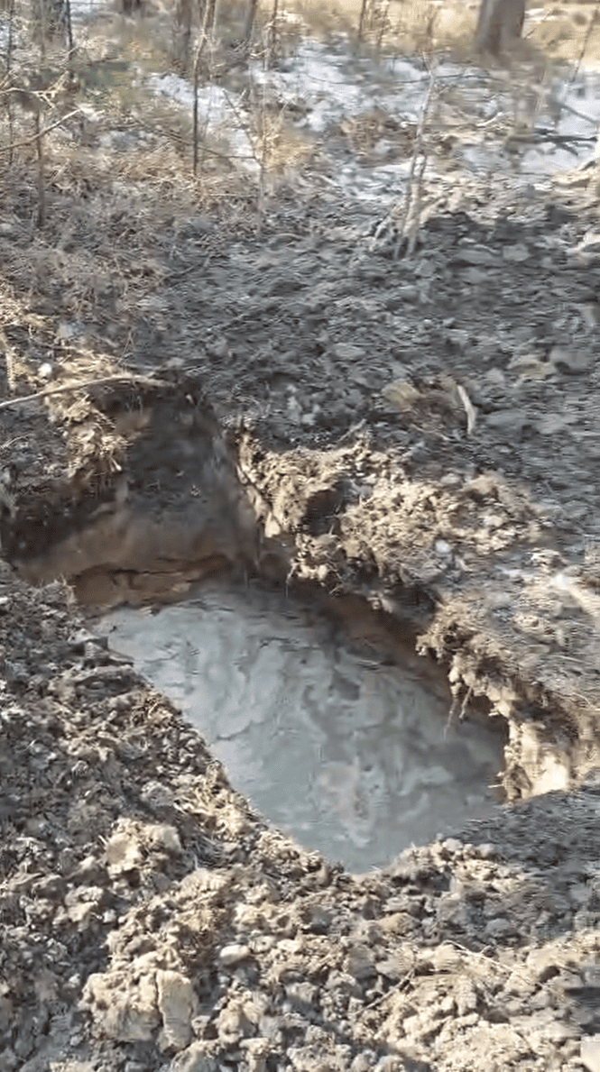 Волиньрада звернулась до уряду та правоохоронних органів щодо блокування діяльності КП «Волиньприродресурс» з боку ДП «Ліси України»