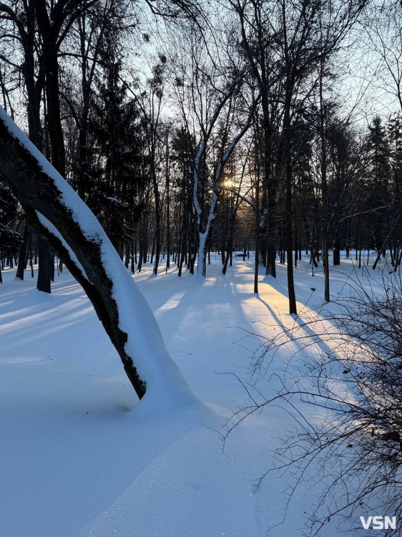 У луцькому парку в мороз –17 °C помітили бігуна без одягу