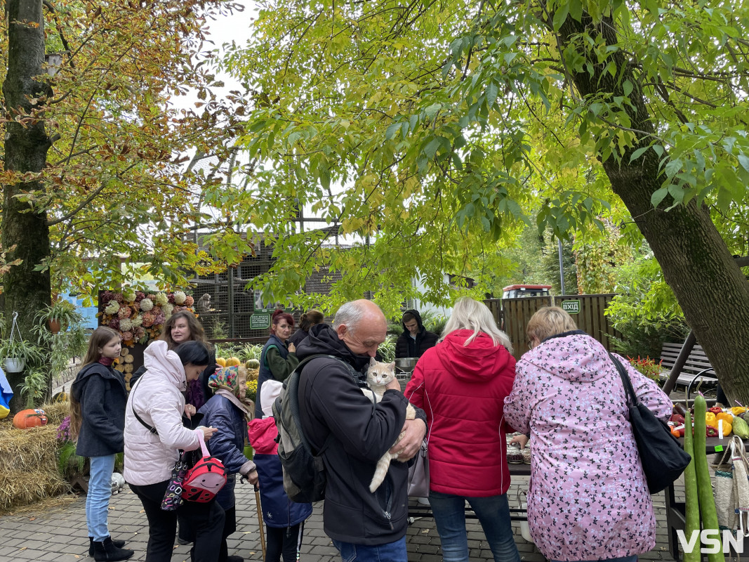 Смакували всі: у Луцькому зоопарку відбулося «Свято гарбуза»