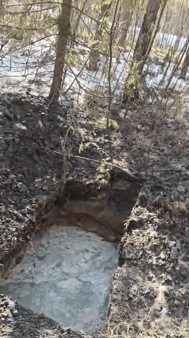 Волиньрада звернулась до уряду та правоохоронних органів щодо блокування діяльності КП «Волиньприродресурс» з боку ДП «Ліси України»