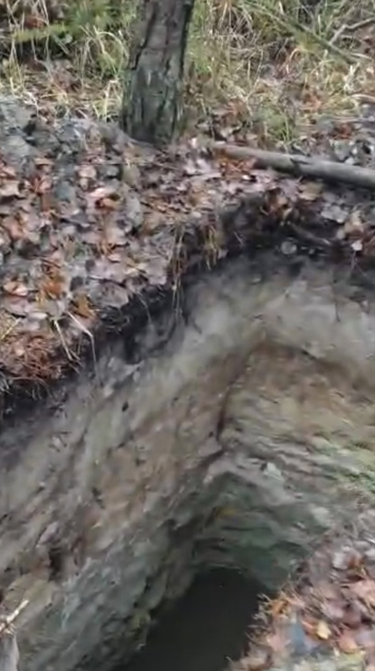 Волиньрада звернулась до уряду та правоохоронних органів щодо блокування діяльності КП «Волиньприродресурс» з боку ДП «Ліси України»