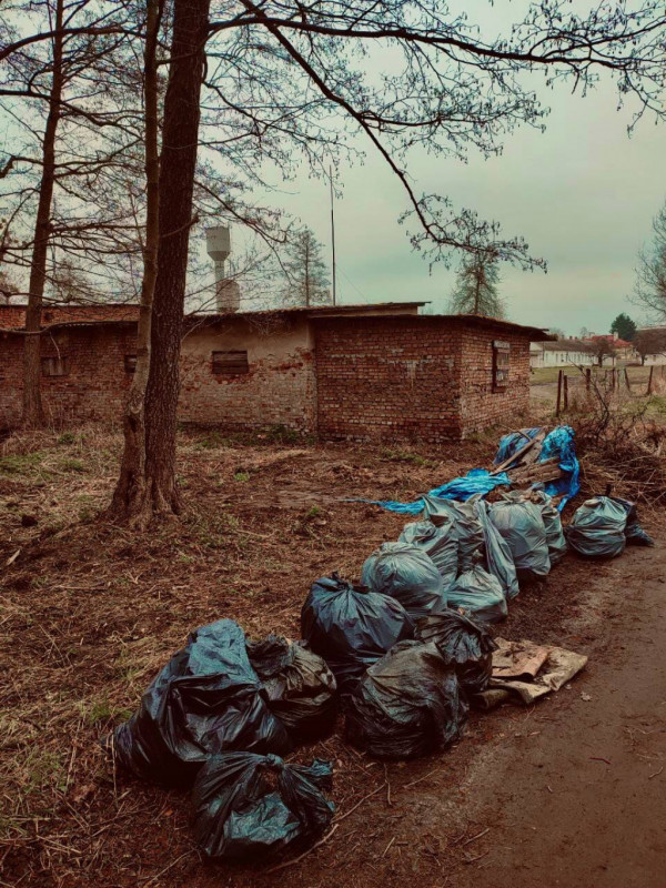 Замість смітника – стенд: молодь прибрала гай поблизу волинського озера