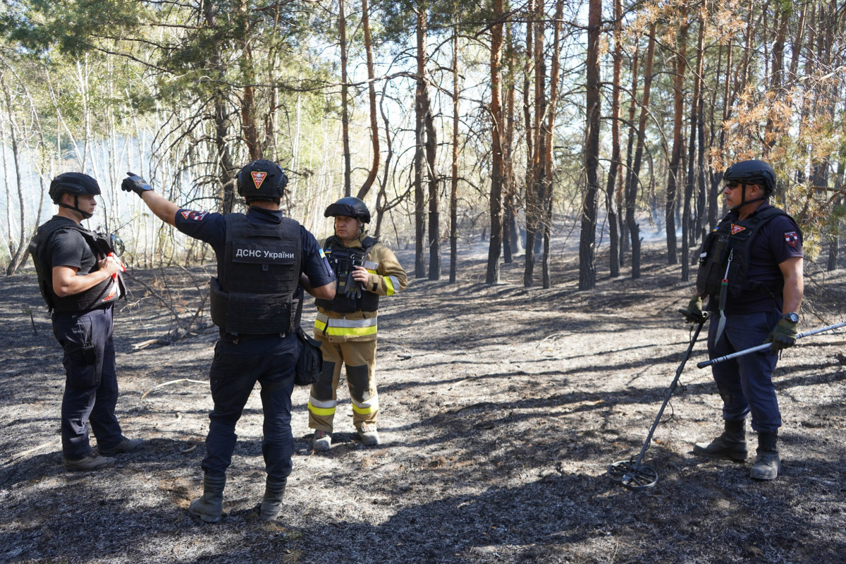 Волинські сапери продовжують розмінування на Донеччині: вже очистили понад 20 гектарів