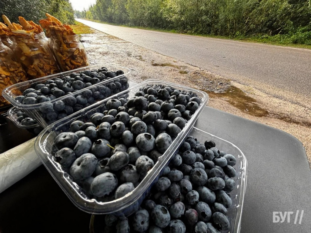 Лисички, лохина й кукурудза: що продають уздовж доріг на Світязі