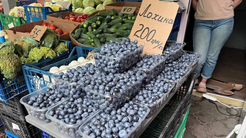 Ажіотаж на дині у Луцьку: скільки коштує солодкий делікатес на ринках