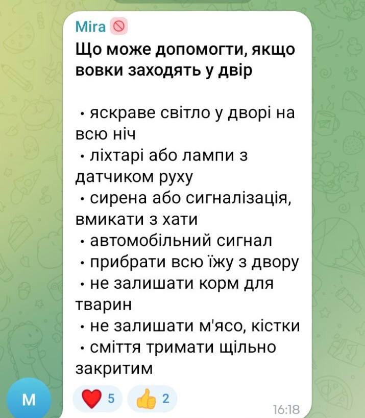 «Тихо заходять у двори й убивають»: у селі на Волині хижаки нападають на домашніх собак