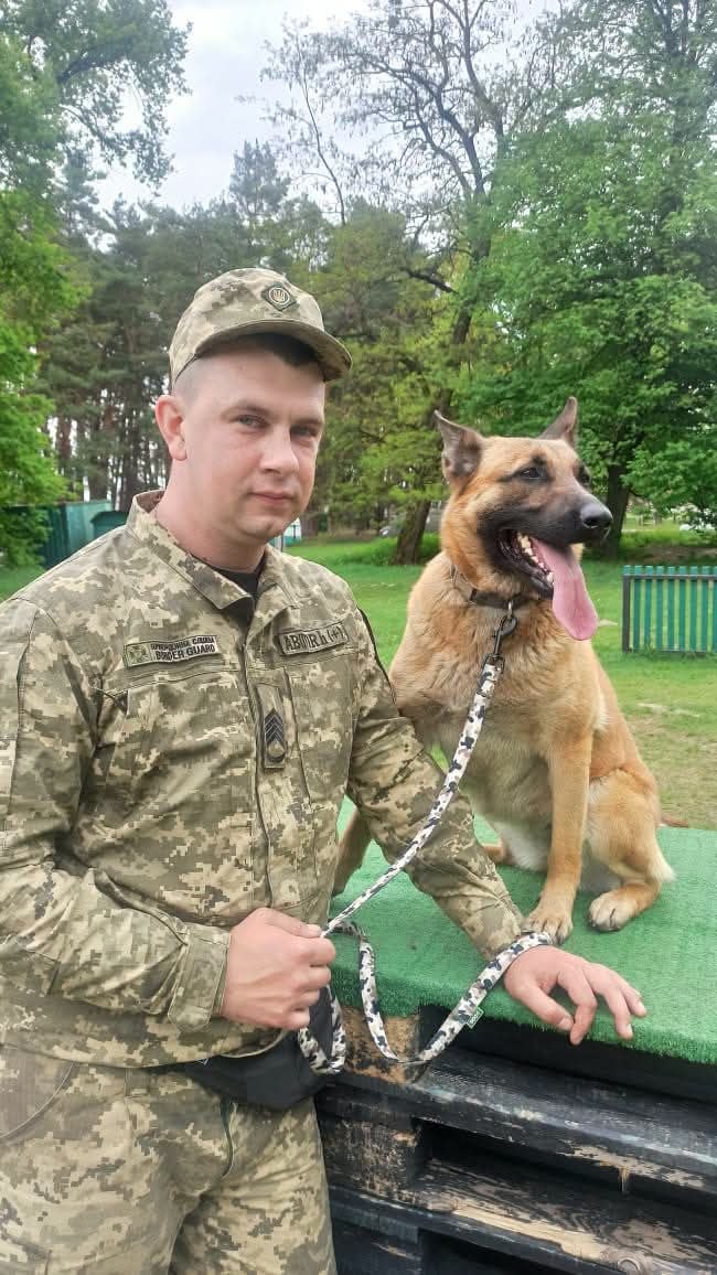 Історія дружби та служби: як прикордонник з Волині і його малінуа Атака шукають міни й вибухівку