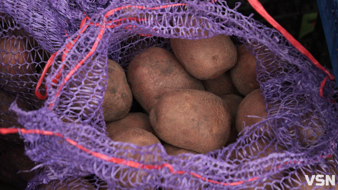 Скільки коштують яблука, гарбузи та картопля на Центральному ринку у Луцьку