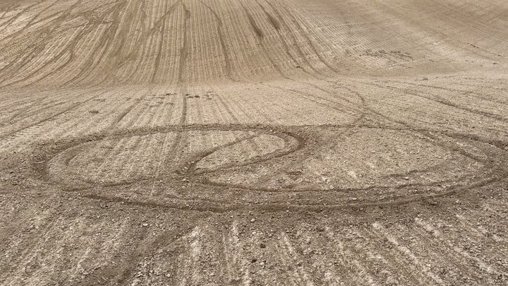 На Волині підлітки влаштували «гонки» полем і знищили 3 гектари буряків