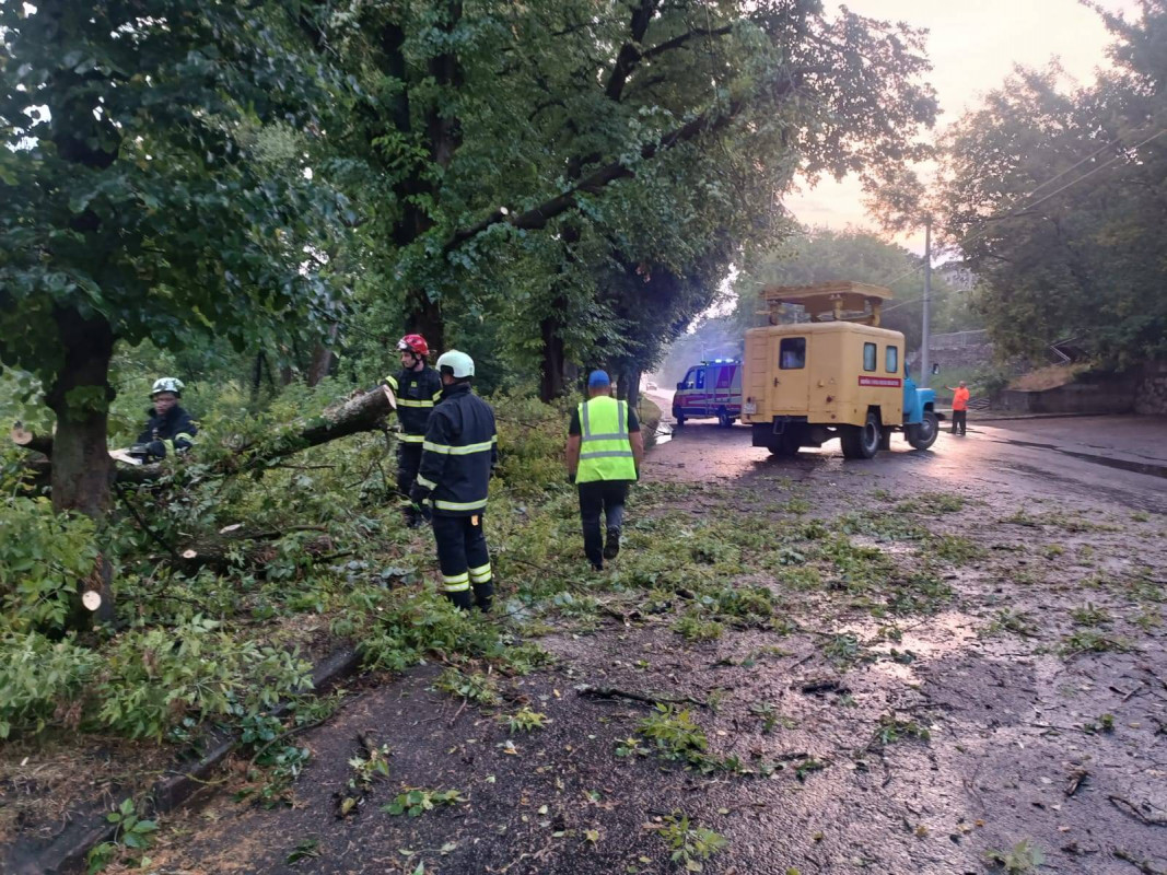 Повалені дерева та перекриті дороги: негода на Волині наробила біди. Фото