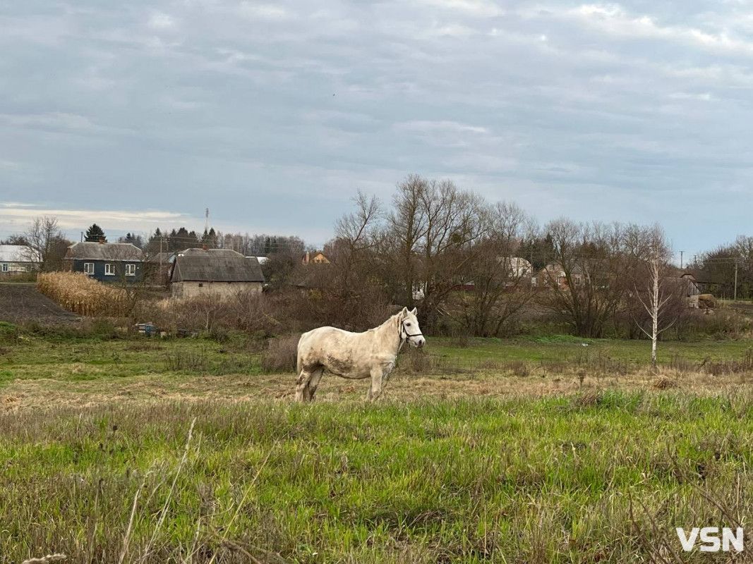 Заснували як місце покарання для людей: невідома історія села на Волині. Фоторепортаж
