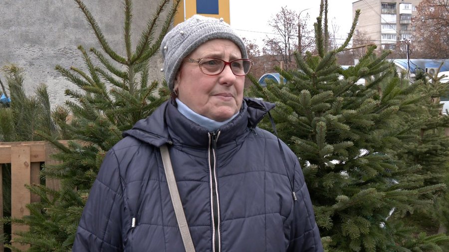 У Луцьку вже можна купити ялинку. Скільки коштують хвойні дерева до свят