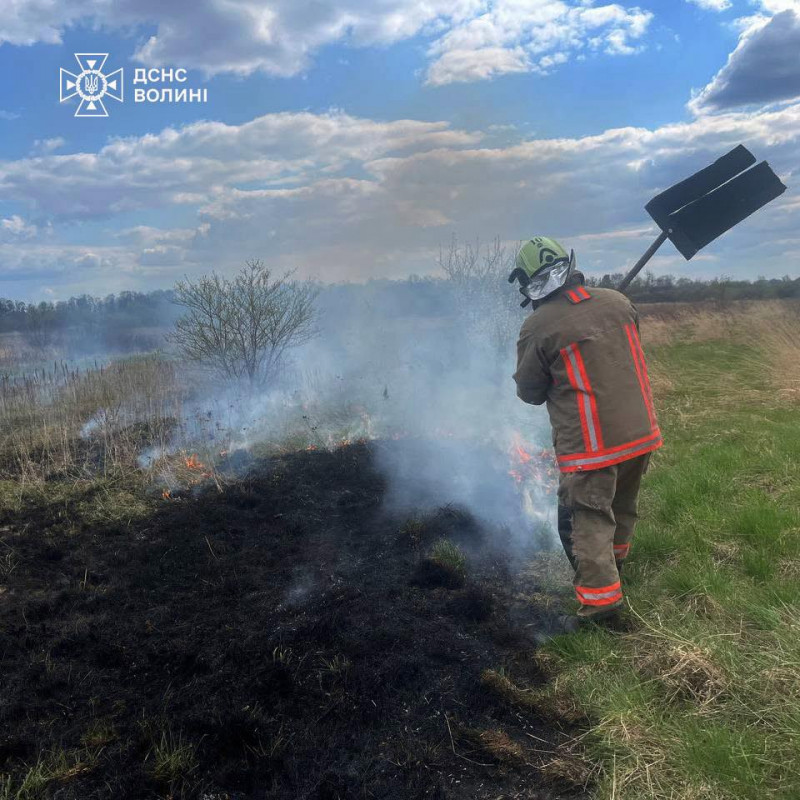 На Волині вигоріло понад 3 гектари через сухостою через людську недбалість