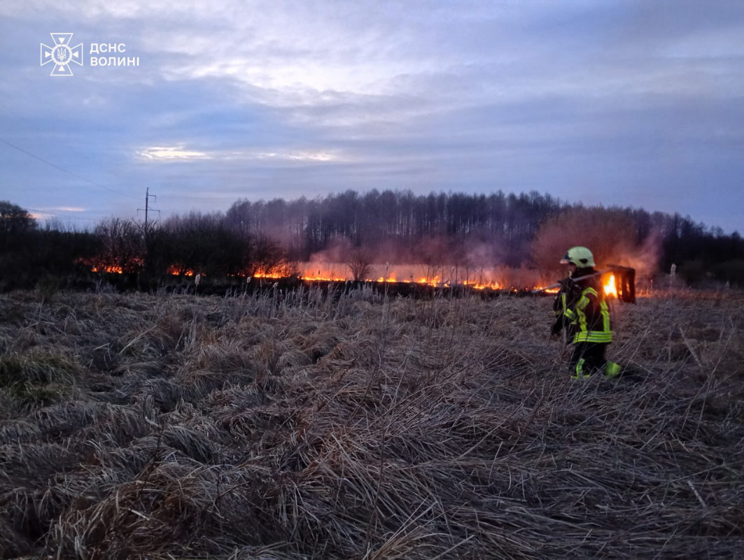 Через людську недбалість на Волині вигоріло близько 6 гектарів сухостою