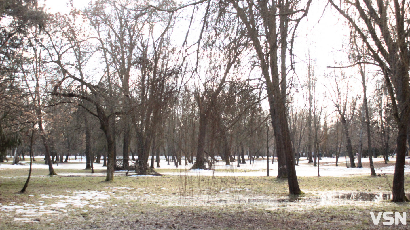 Весна у Луцьку: фоторепортаж із парку імені Лесі Українки