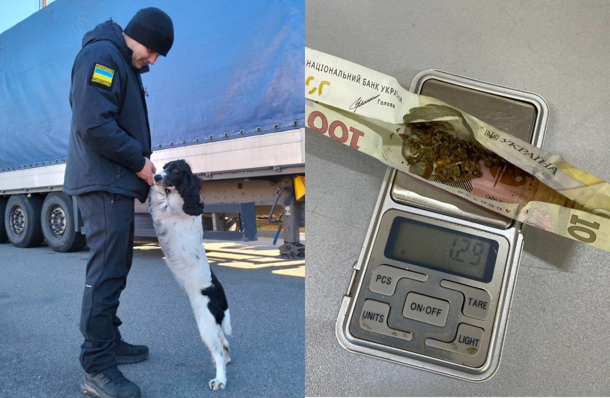 На Волині службові собаки виявляють наркотики у найнесподіваніших місцях