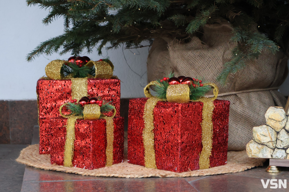 Шахрайства, ДТП та комендантська година: чим для поліції Волині запам’ятовуються новорічні свята