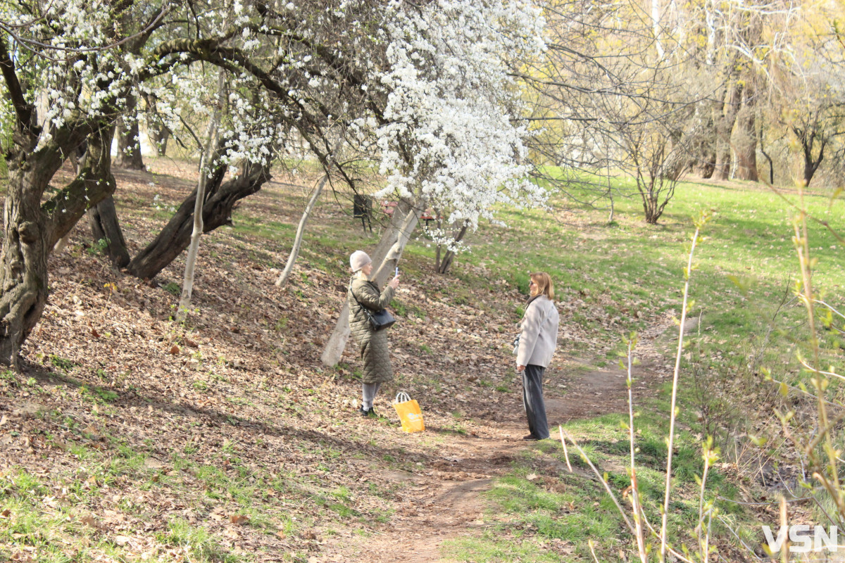 Як виглядає парк 900-річчя у Луцьку навесні 2026. Фоторепортаж