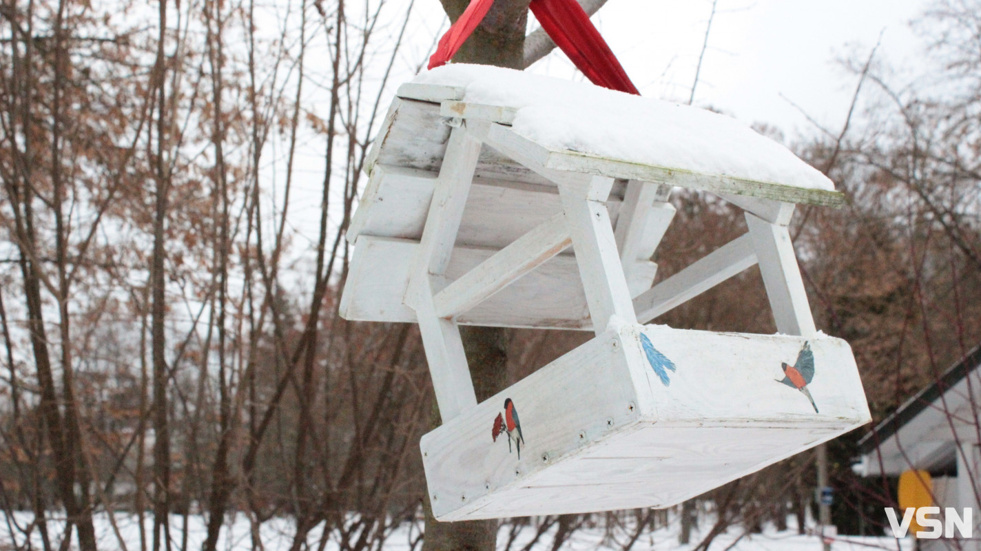 Як виглядає центральний парк у Луцьку у перші дні 2026 року. Фоторепортаж