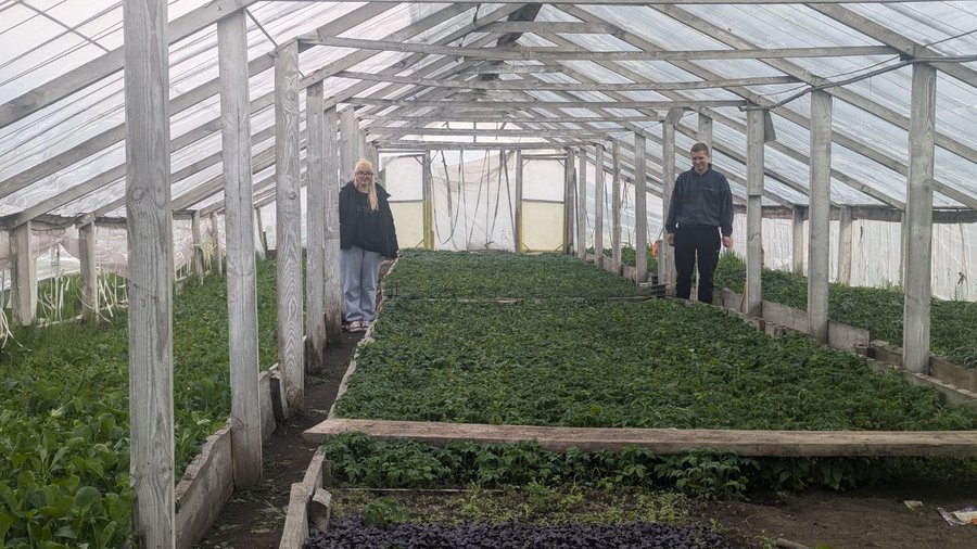 Перетворили домашню справу на сімейний бізнес: родина з Луцького району в теплицях вирощує понад 200 видів рослин