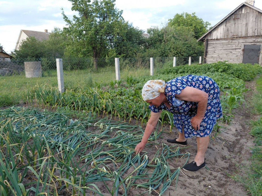 «Не можу сидіти без діла»: у 76 років волинянка сама косить траву, вирощує розсаду й ходить до лісу