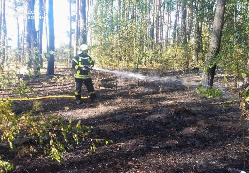 На Волині за добу вигоріло понад шість гектарів у п’яти локація: оштрафували одного палія