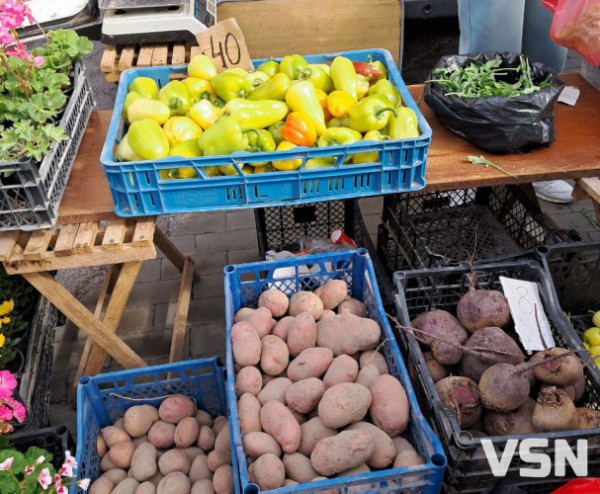 Перець, капуста, томати: скільки коштує сезонна городина на луцьких ринках