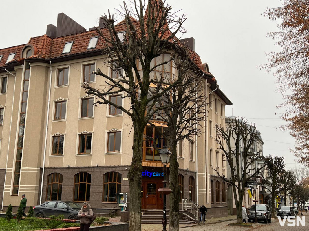 У центрі Луцька стартувала планова обрізка крон дерев