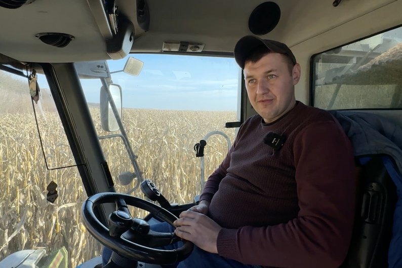 Удвічі більше, ніж торік: як на Волині вродила кукурудза