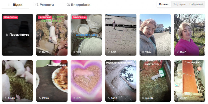 400-кілограмові свині та тисячі переглядів у TikTok: як волинянка веде господарство