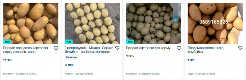 Скільки коштує картопля на Волині у вересні: ціни у продавців та заготівельників