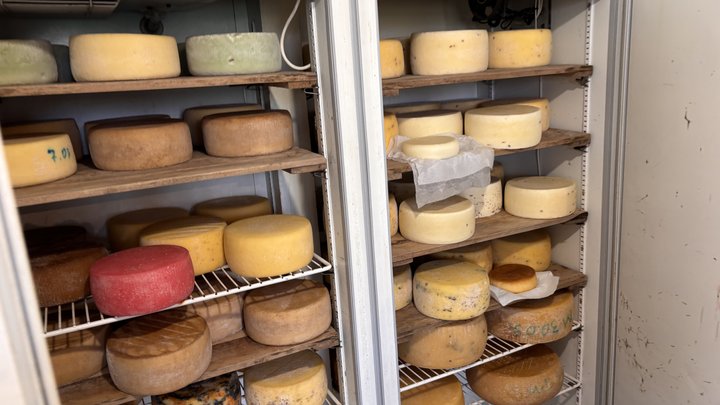 Із вчительки – у сироварки: як волинянка після навчання у Швейцарії створює авторські сири