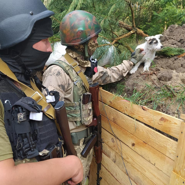 Фортифікація та міцна лінія оборона: яка ситуація на волинському кордоні з білоруссю