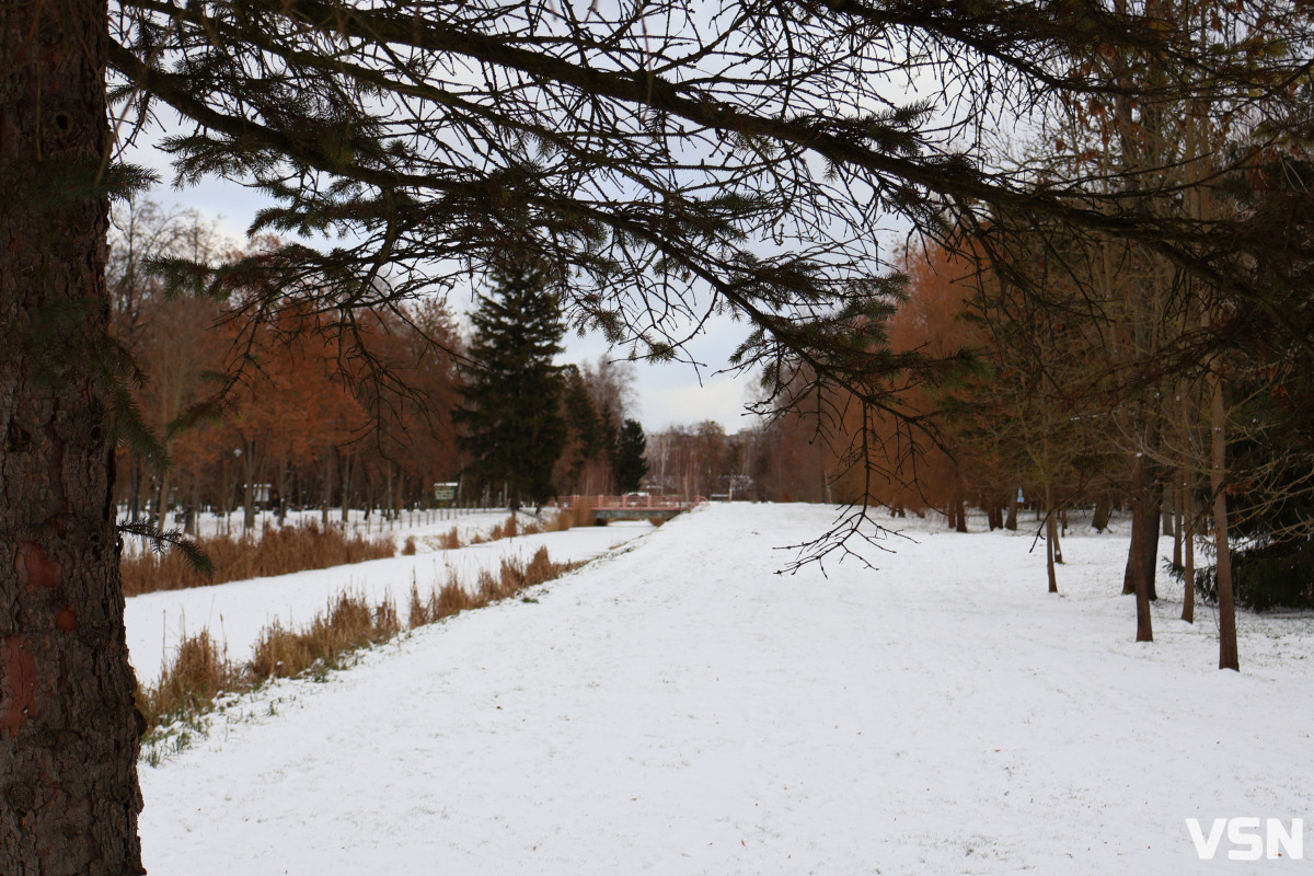 Як виглядає центральний парк у Луцьку у перші дні 2026 року. Фоторепортаж
