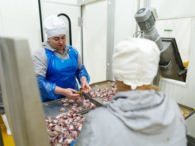 60 млн євро інвестицій у Волинь: Avesterra Group Дмитра Добкіна відкрила новий завод