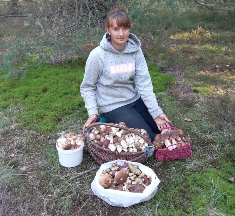 Любителька «тихого полювання» розповіла, де на Волині назбирала понад 300 білих грибів