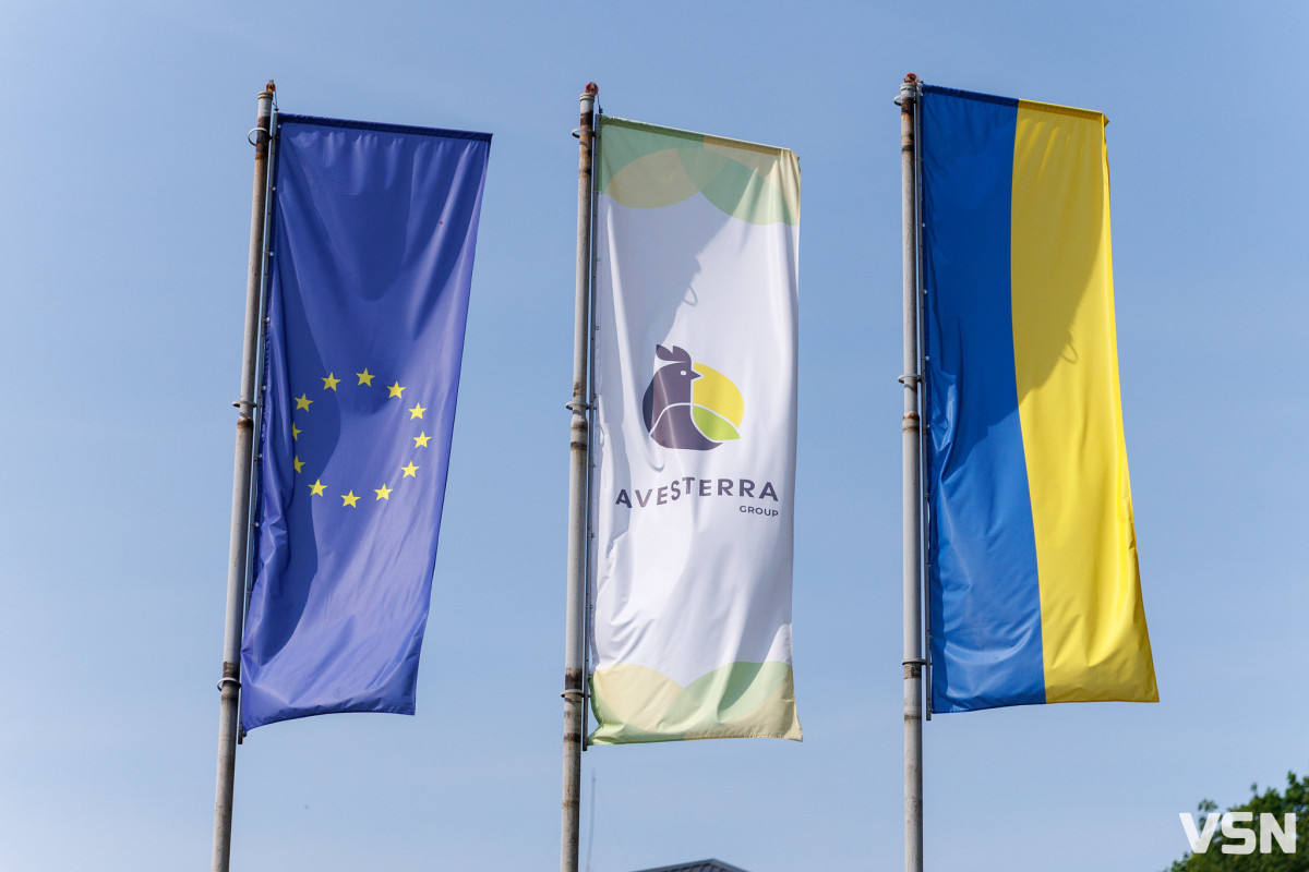 Волинь готується підкорювати світові ринки: інтерв’ю з генеральною директоркою Avesterra Group Світланою Собіпан