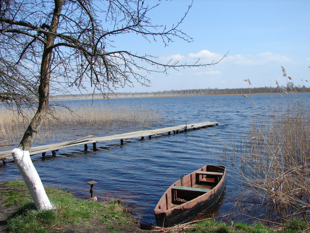 Золота осінь на Волині: де зробити незабутні фото у вересні