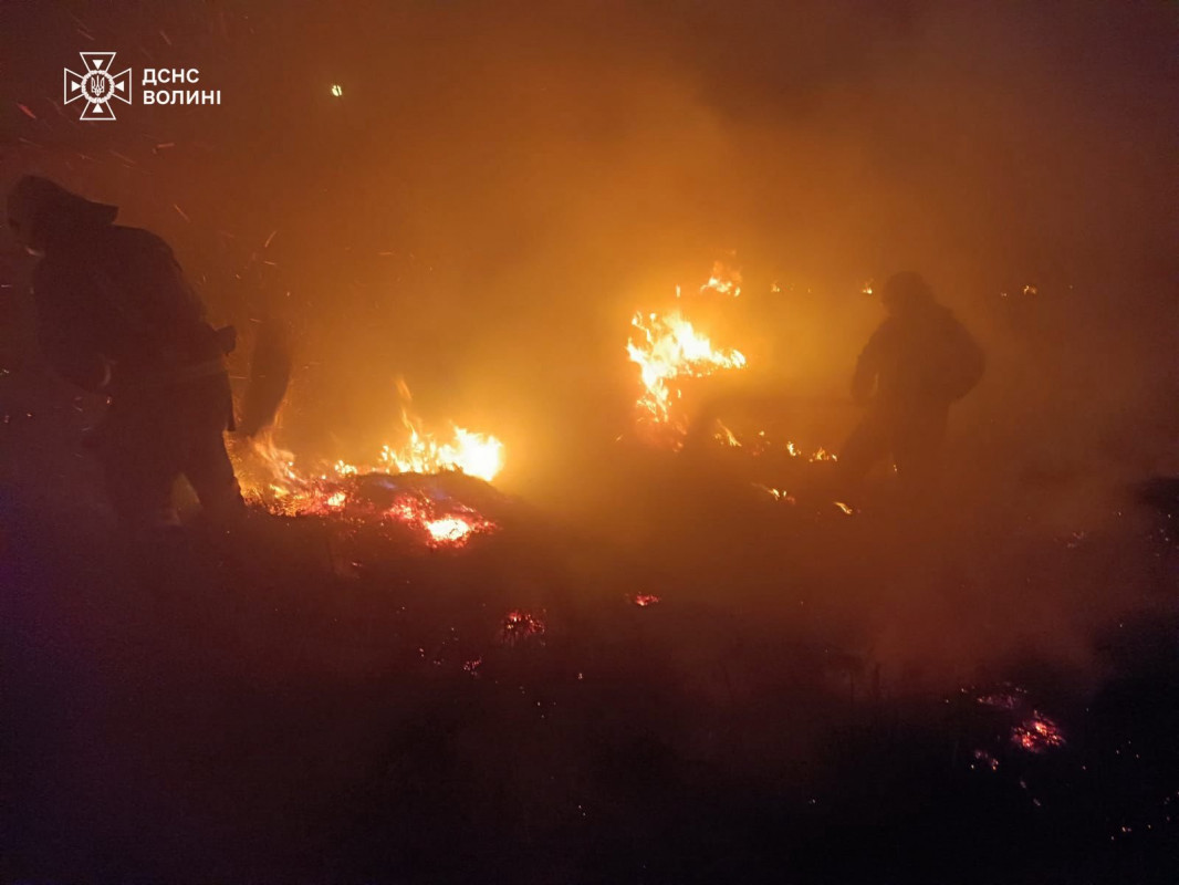 У трьох районах Волині вигоріло близько 5 гектарів сухостою