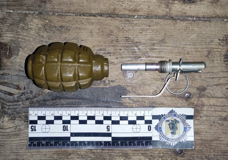 Марихуана та гранати: на Волині поліцейські вилучили у мешканців вибухонебезпечні предмети
