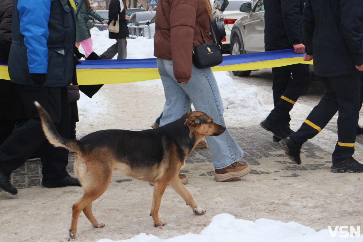 Лучани об’єдналися в «Ланцюг Єднання» до Дня Соборності України. Фоторепортаж