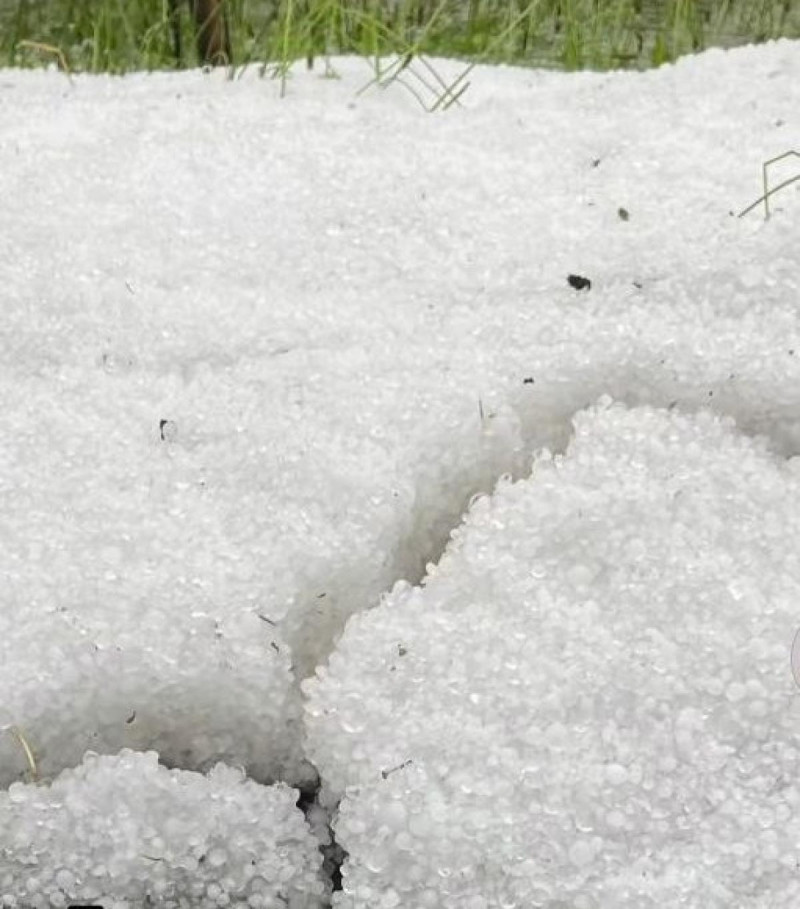 На Волині сильний град побив зернові, городину та автомобілі