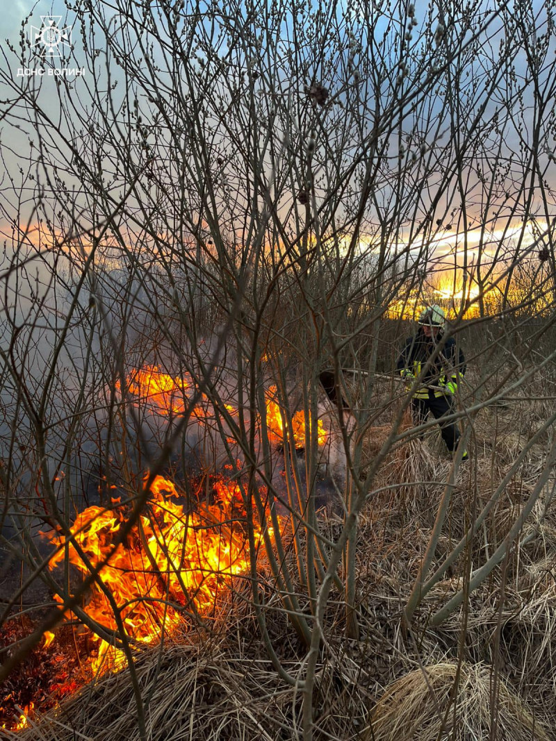 На Волині через людську недбалість згоріли хлів і понад 7 гектарів сухої трави