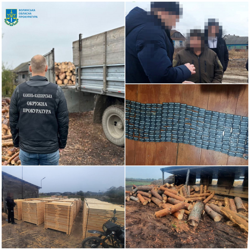На Волині лісівник і троє спільників зрубали дерев на 6 мільйонів гривень: справу скерували до суду