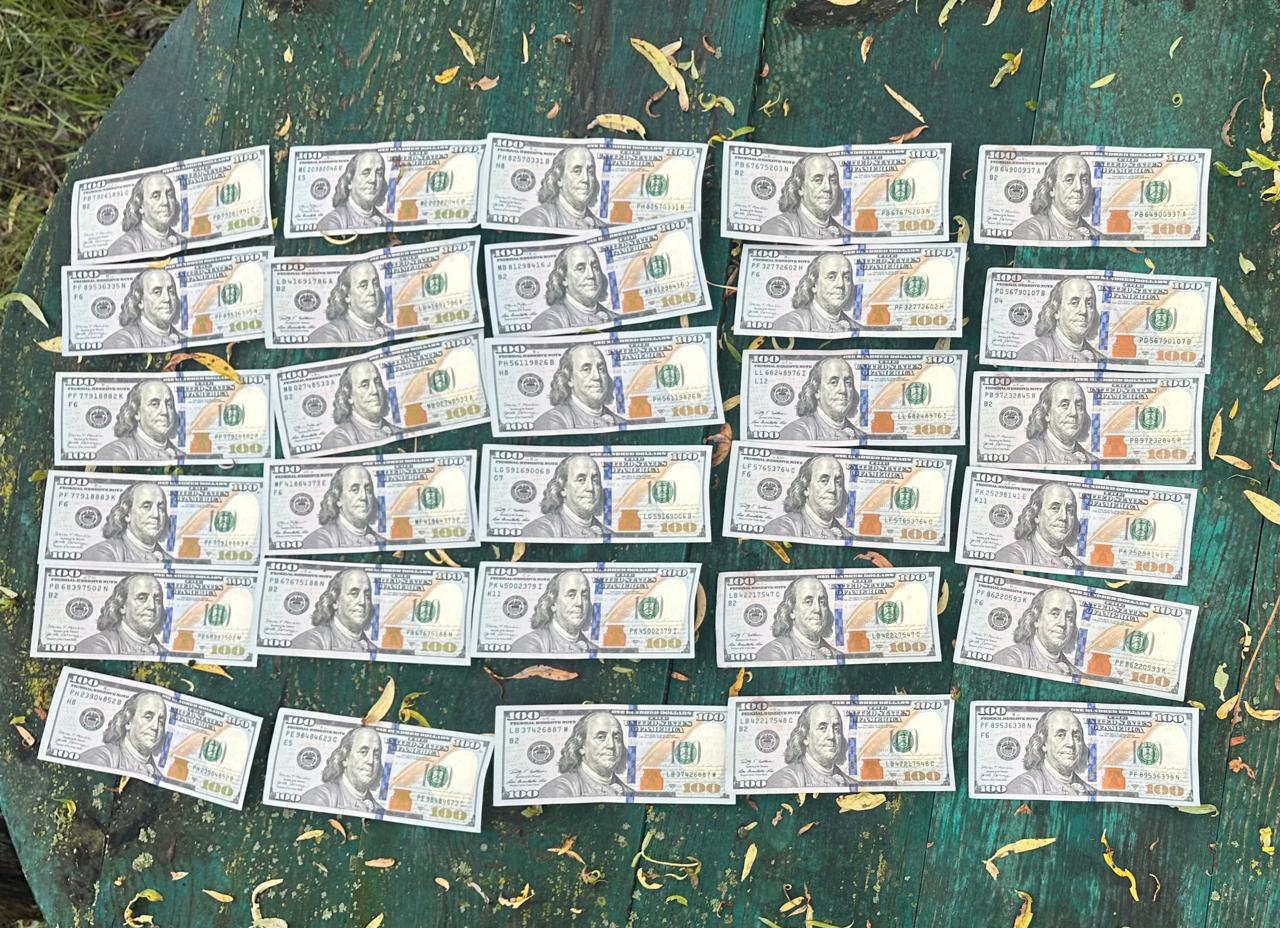 6 тисяч доларів за втечу: волинянина спіймали на спробі переправити ухилянта до Білорусі