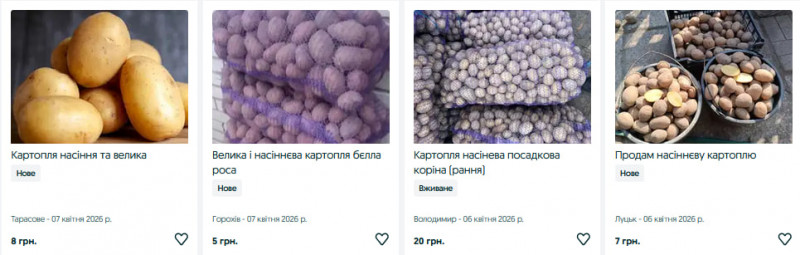 Скільки коштує насіннєва картопля на Волині: огляд цін та сортів